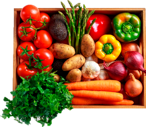 Venta directa de fruta y verduras